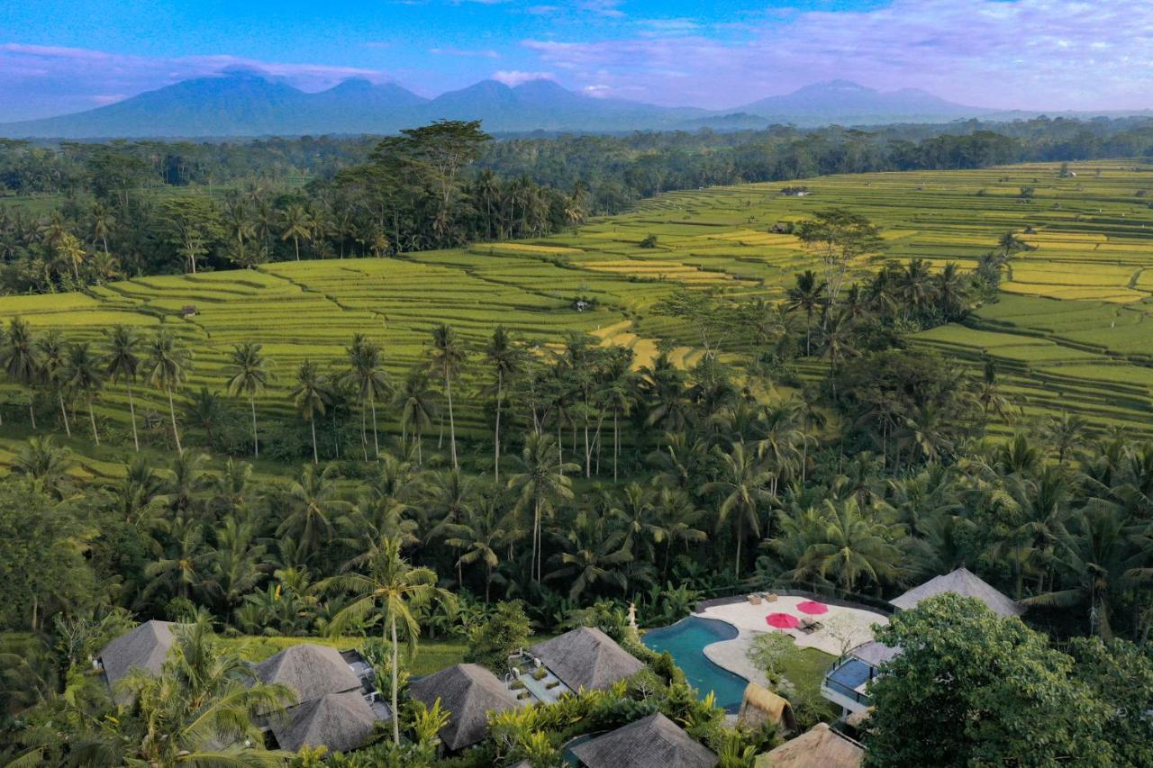 Puri Sebali Resort Ubud Eksteriør billede