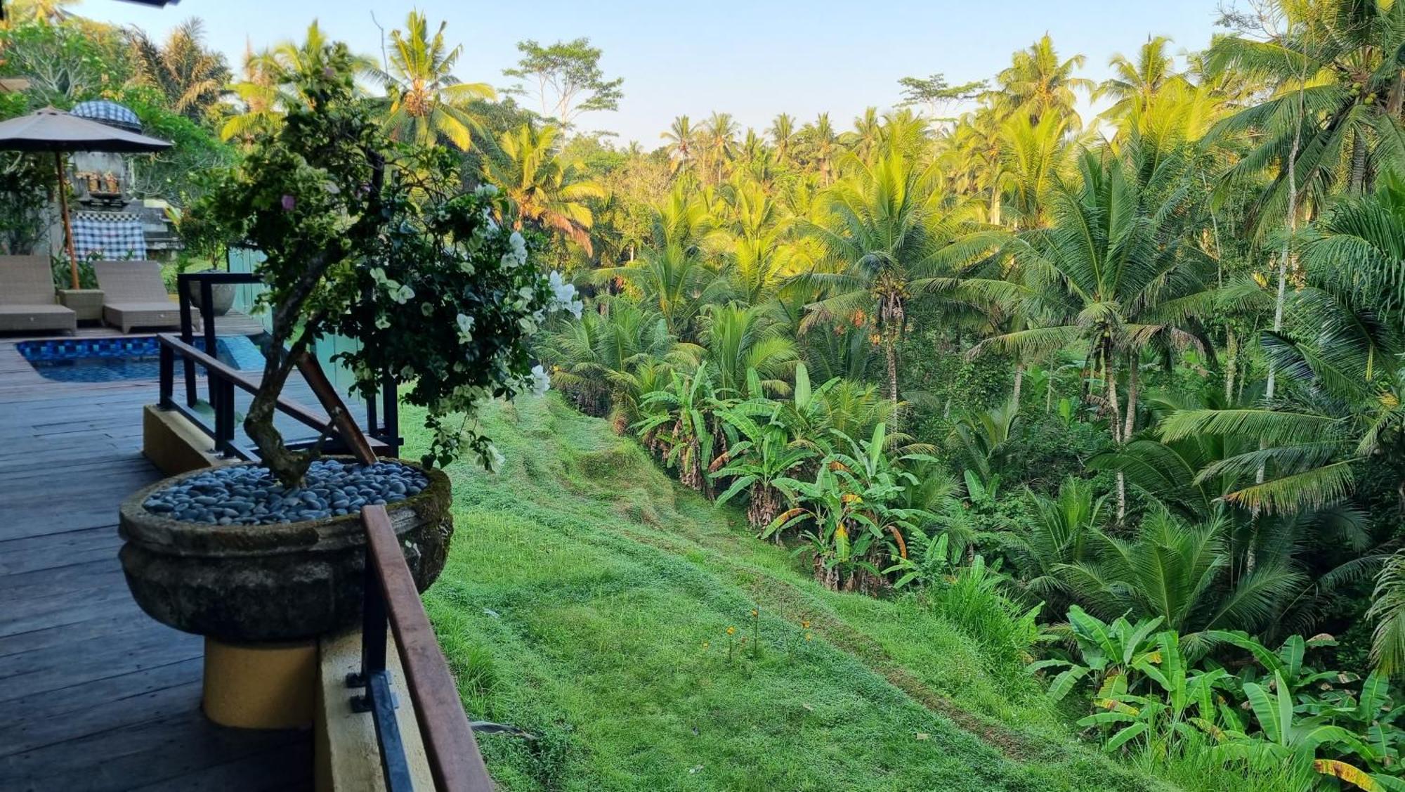 Puri Sebali Resort Ubud Eksteriør billede