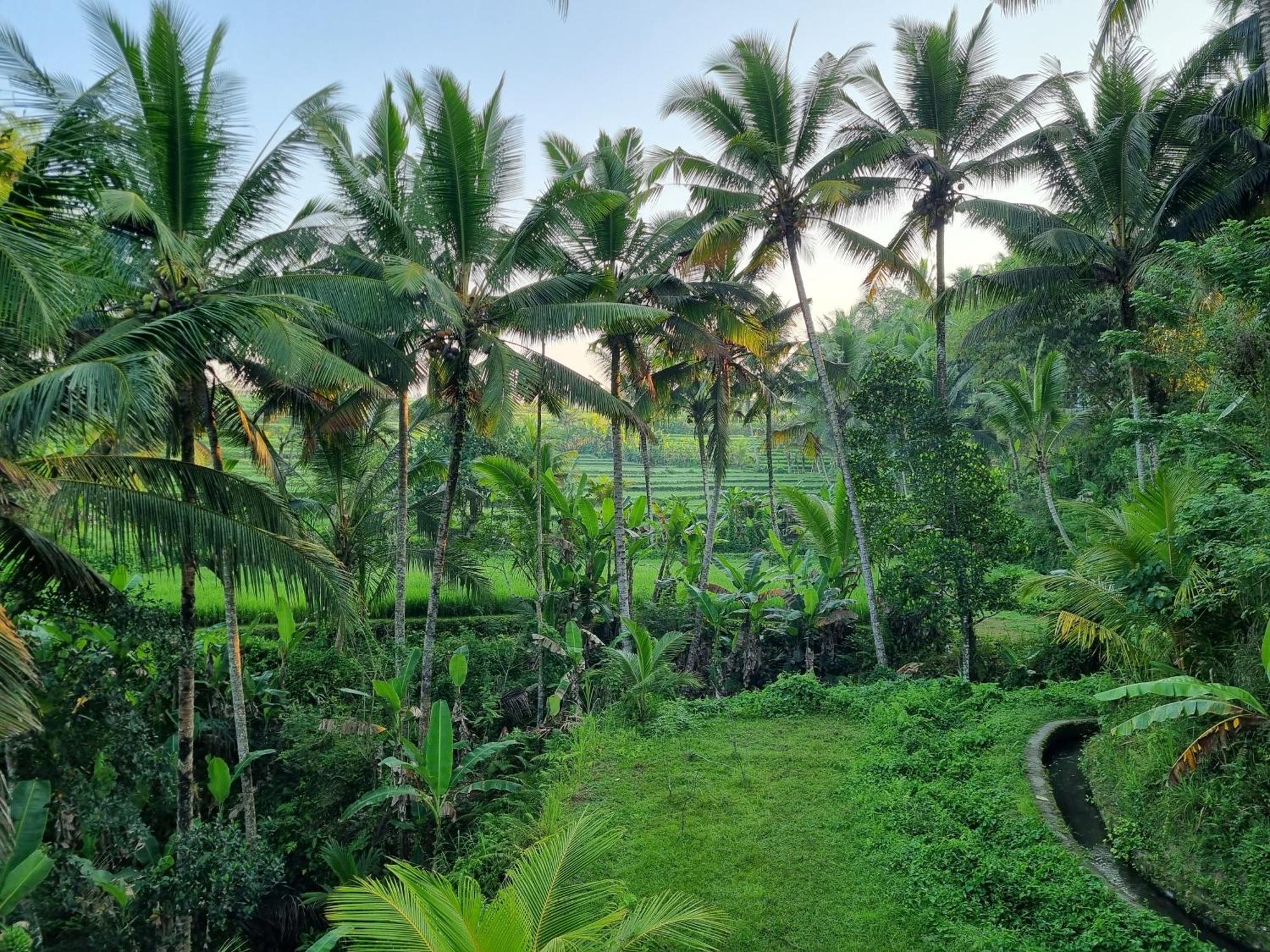Puri Sebali Resort Ubud Eksteriør billede