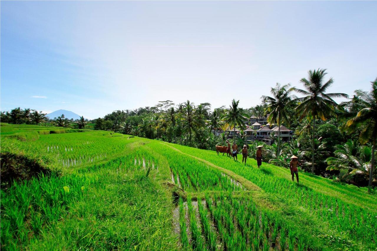 Puri Sebali Resort Ubud Eksteriør billede